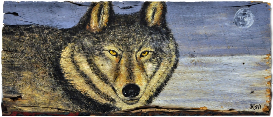 loup sur bois